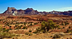 Top Photo-High Desert Landscape