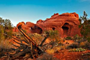 Top Photo-The Sunrise At Double  Arches