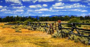 Top Photo-Old Fence Line
